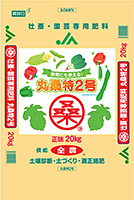 丸桑特2号