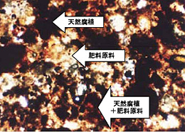 写真4　光学顕微鏡で見た天然腐植入り肥料の断面